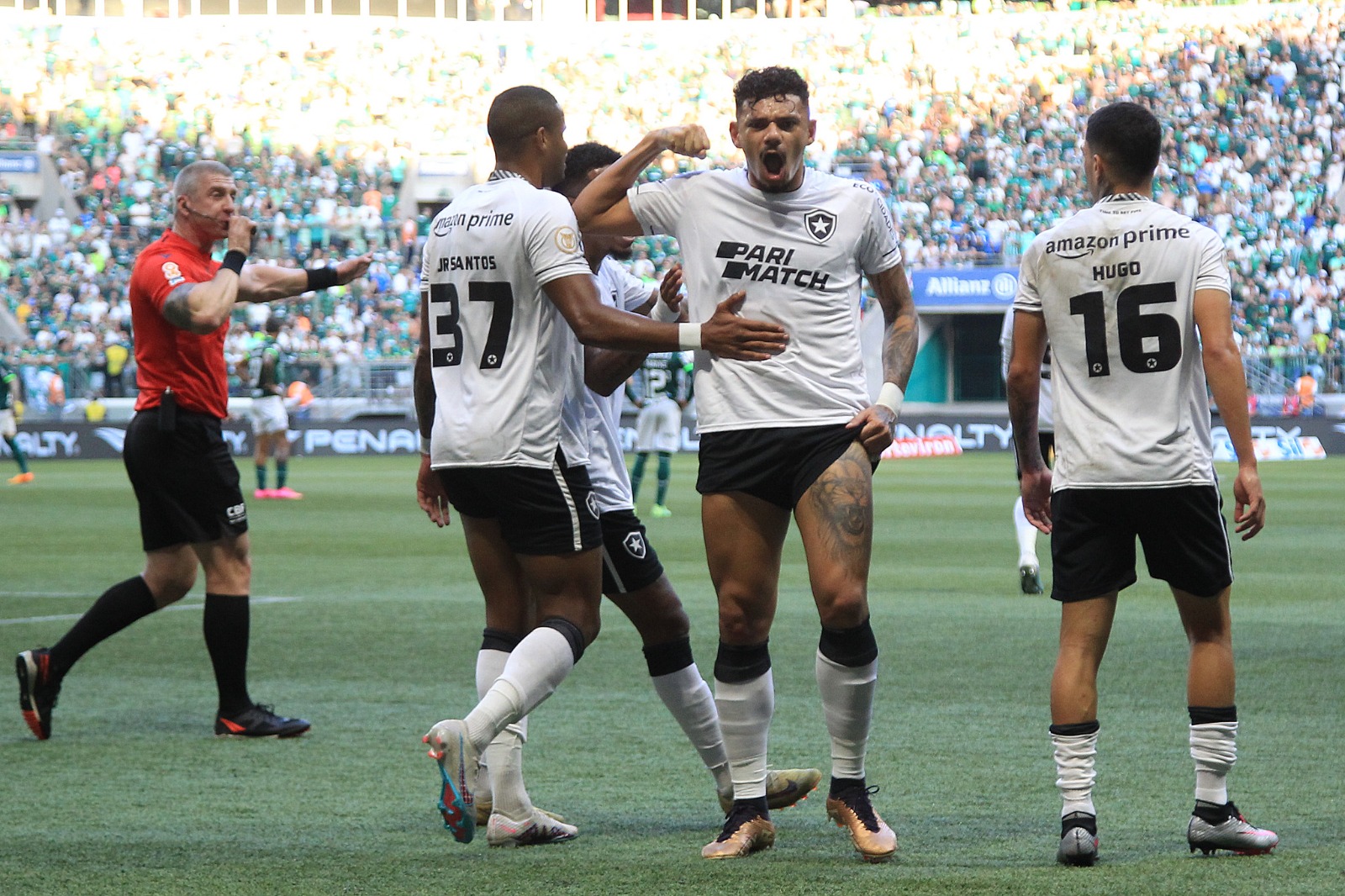 Botafogo venceu os quatro favoritos ao título Alguma dúvida de que