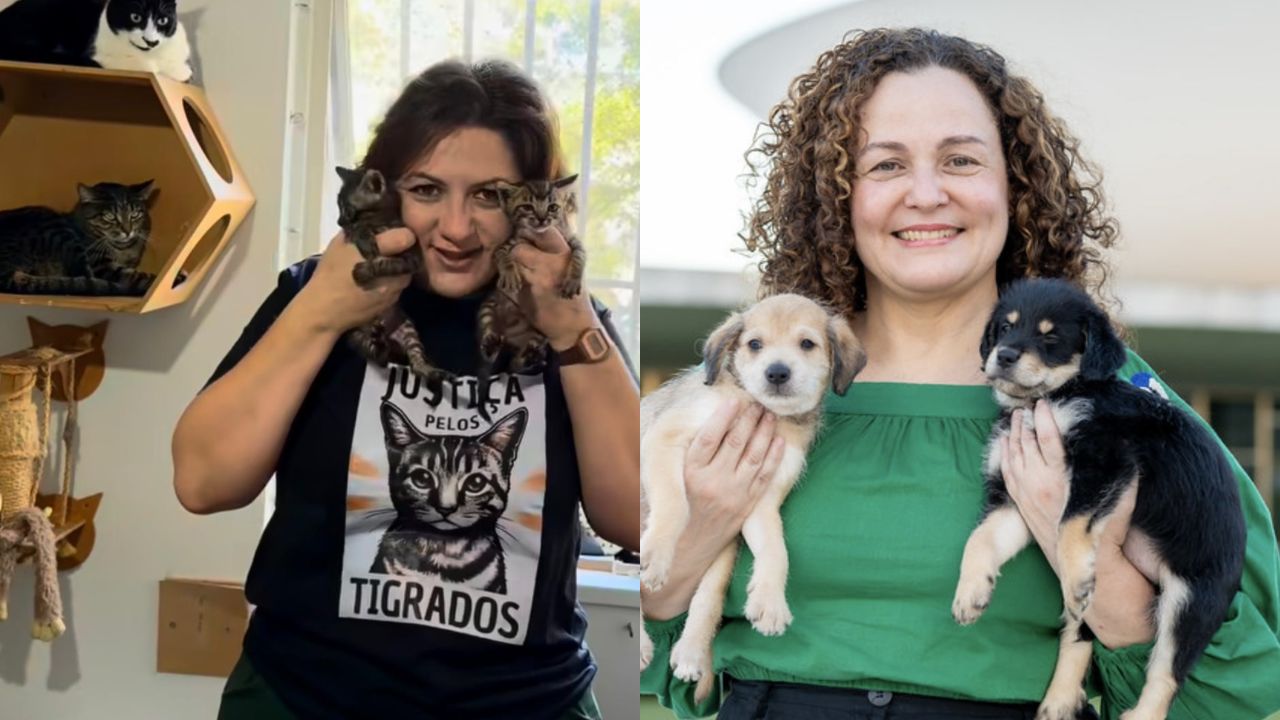 Protetoras dos animais - 