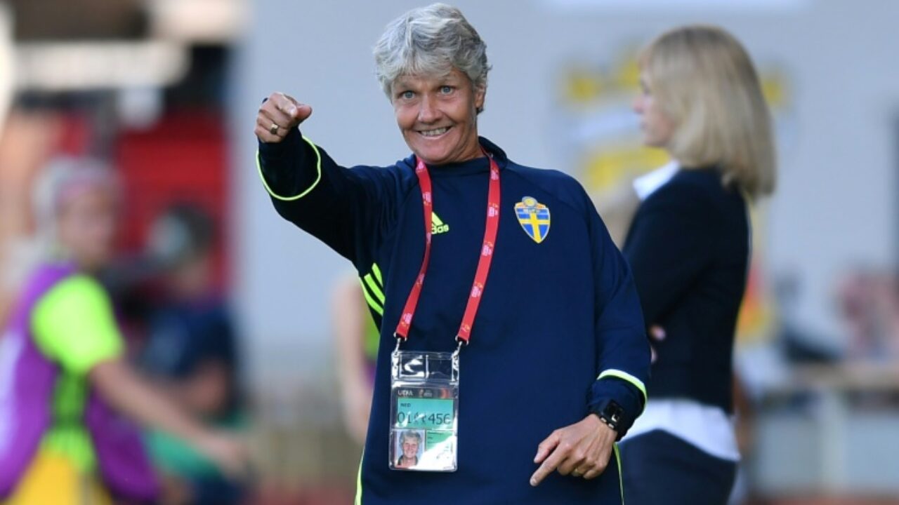 What is the meaning of se puder me ajudar a traduzir uma entrevista da Pia  Sundhage em 1985 eu agradeço. O aúdio é um pedaço do vídeo? - Question  about Swedish