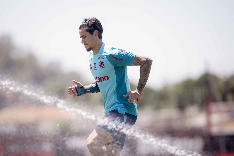 Pedro é perda enorme, mas os três títulos de Filipe Luís foram sem ele - Blog Drible de Corpo - 