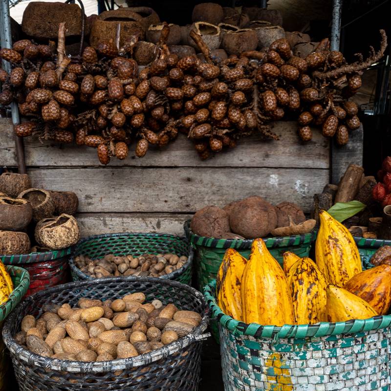 COP 30 terá cardápio com ingredientes que promovam experiência gastronômica sensorial  - 