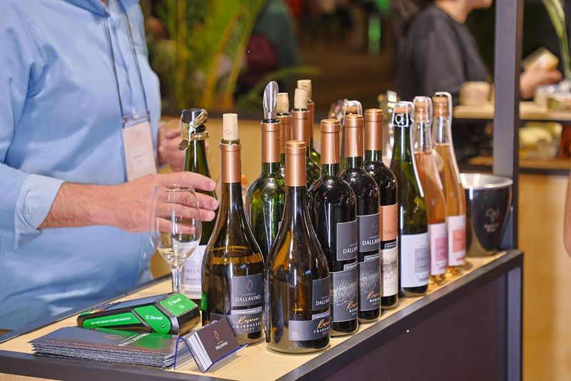 Feira Expovitis Brasil 2026 Brasília | Blog Liana Sabo - 