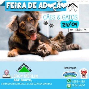 imagem de cartaz de feira de adoção de pets