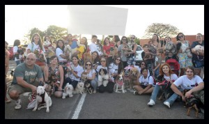 foto de cães e seus tutores durante sessão no cine Drive in em Brasília onde acnteceu a apresentação do filme Pets - a vida secreta dos bichos