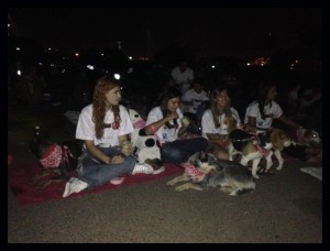 foto de cães e seus tutores durante sessão no cine Drive in em Brasília onde acnteceu a apresentação do filme Pets - a vida secreta dos bichos