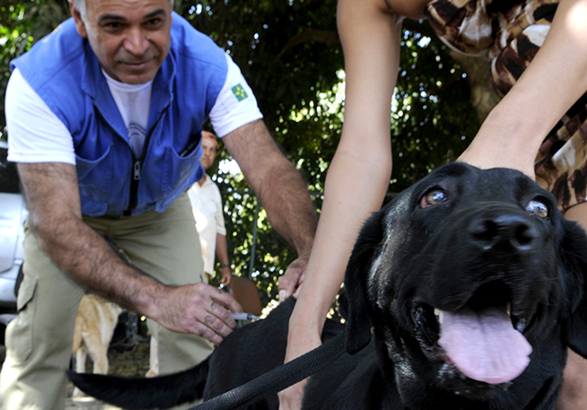 imagem mostra servidor do GDF imunizando um cão durante campanha de vacinação contra raiva animal