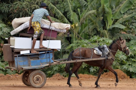 imagem mostra cavalo puxando uma carroça super carregada, para ilustrar matéria que anuncia a criação de um serviço Disque-denúncia no DF