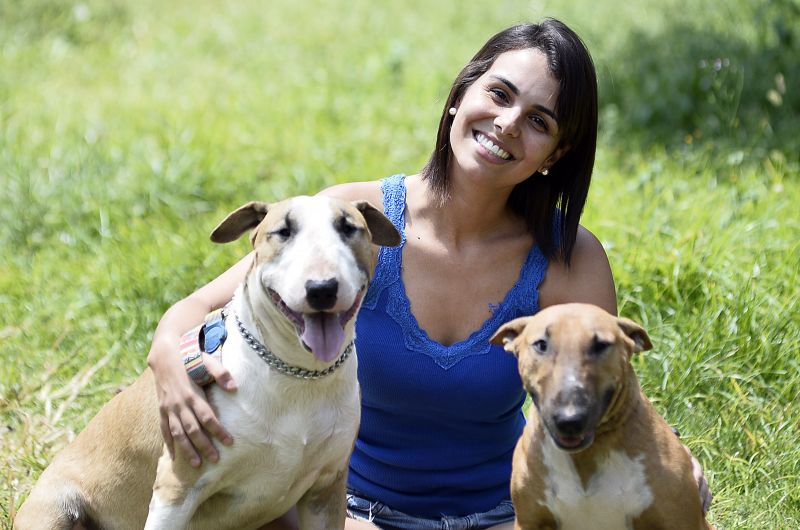 14/03/2017. Crédito: Breno Fortes/CB/D.A Press. Brasil. Brasília - DF. Rebeca Schmidt, 28 anos, com os seus cachorros da raça Bull Terrier Vingador (de pelo branco no pescoço) e Marry.