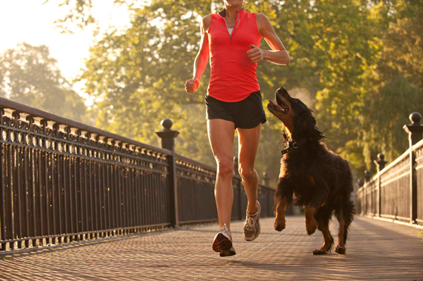Caminhar e correr com o melhor amigo: além de prazeroso, faz bem à saúde. Crédito: Reprodução 
