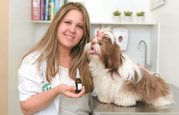 Ana Catarina Valle: homeopatia ajuda animais desenganados pela medicina tradicional Crédito: Raimundo Sampaio