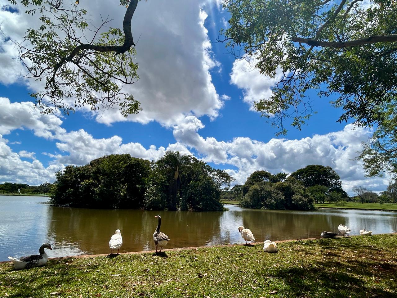 O arquipélago do Parque - Blog | Nosso Parque da Cidade - 