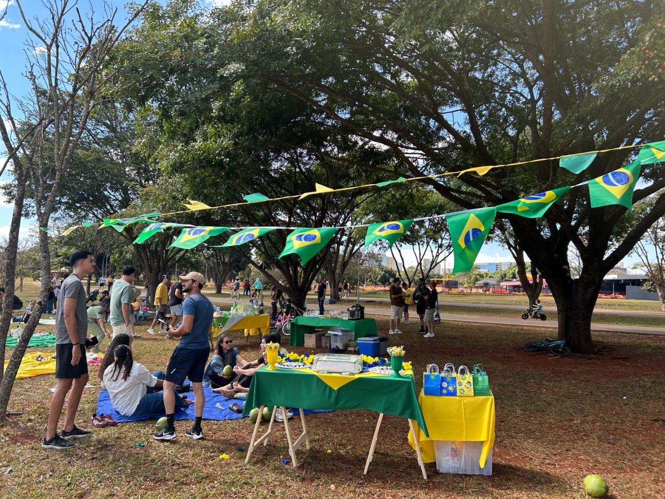 O clima da Copa do Mundo no Parque - Blog | Nosso Parque da Cidade - 