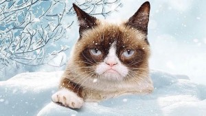 grumpy cat 2