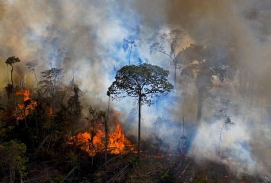 Greenpeace faz alerta para novo recorde de desmatamento na Amazônia